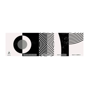 Campione Di Fotomurale Standard Eco - Armonia in bianco e nero - Astrazione, Pezzo, Bianco e nero - 100x30 cm