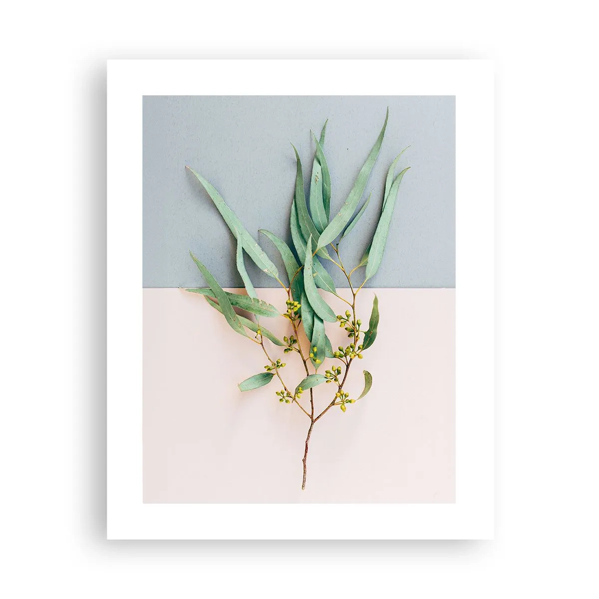 Poster - Delicatezza pastello - 40x50 cm