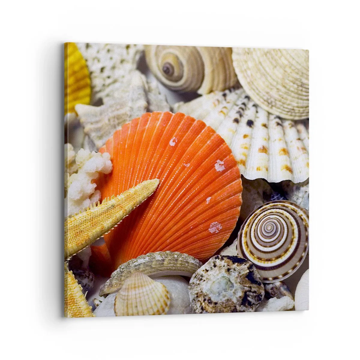 Quadro su tela - Stampe su Tela - Tesori dell'oceano - 70x70 cm