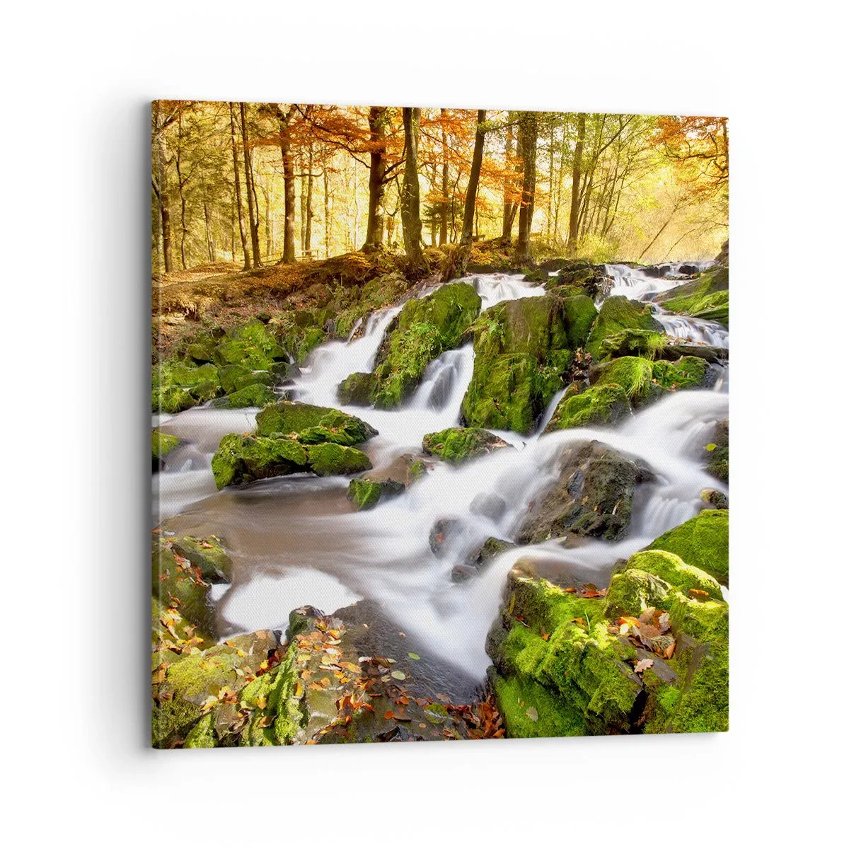 Quadro su tela - Stampe su Tela - Rapido nel bosco autunnale - 70x70 cm
