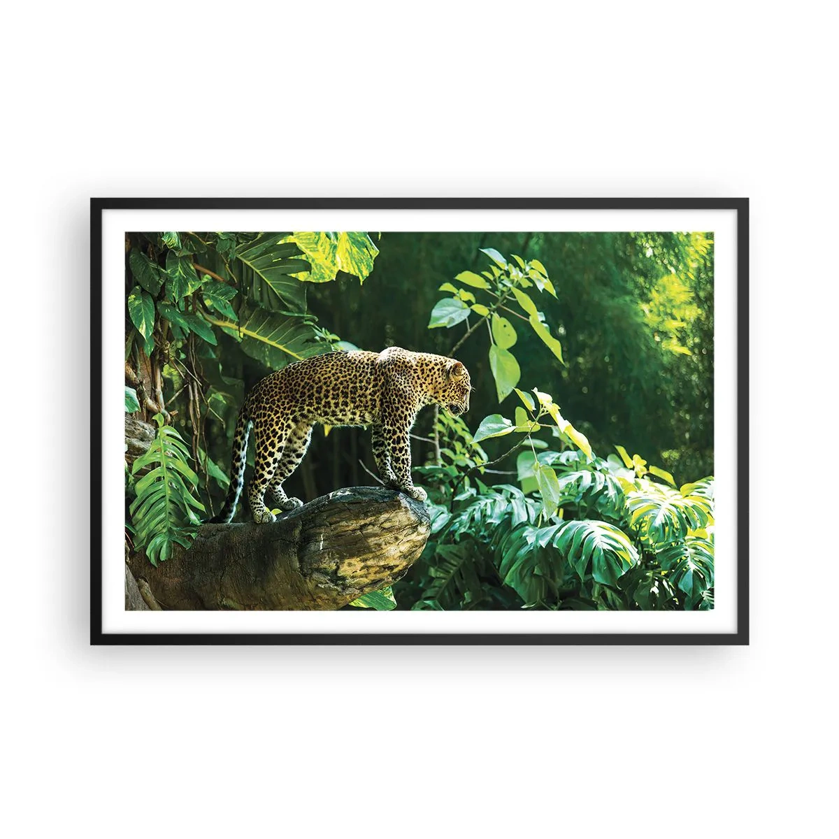 Poster in cornice nera - A caccia? - 91x61 cm
