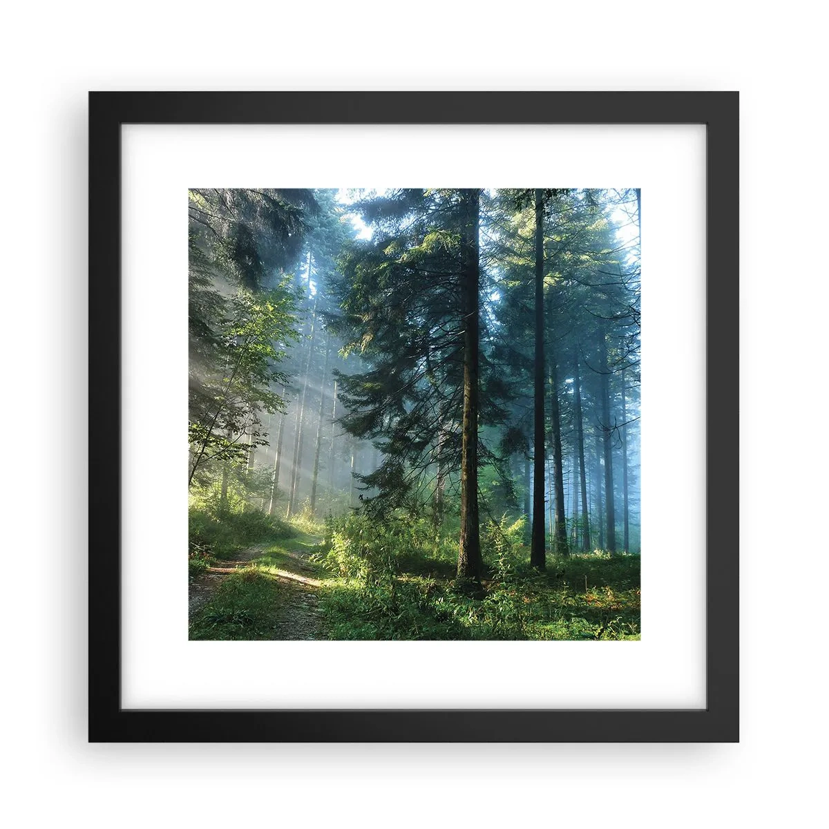 Poster in cornice nera - Raggiante all'alba - 30x30 cm