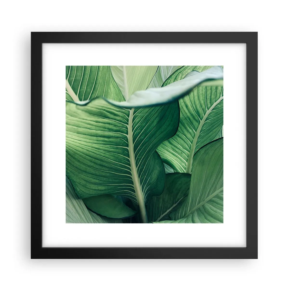 Poster in cornice nera - Una vita intensamente verde - 30x30 cm