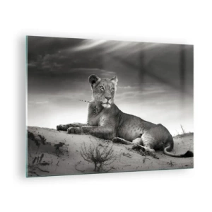 Quadro su vetro - Lasciato sdraiato nel deserto in una cornice in bianco e nero - 70x50cm - Il riposo della regina del deserto - Decorazione murale moderna per soggiorno e camera da letto ARTTOR