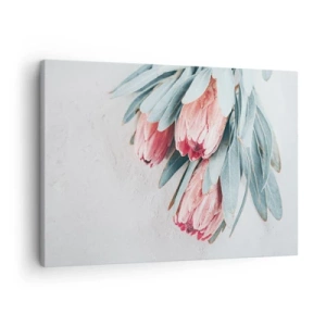 Quadro su tela - Stampe su Tela - Delicati fiori di protea rosa su uno sfondo chiaro - 70x50cm - Imbarazzati per la propria bellezza - Decorazione murale moderna per soggiorno e camera da letto ARTTOR