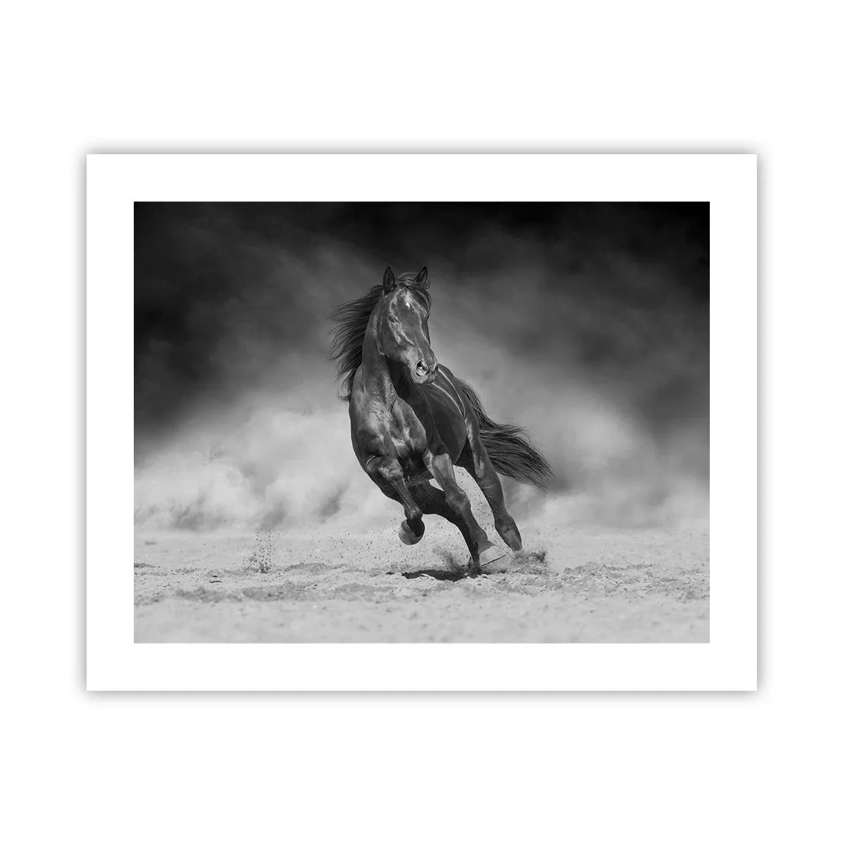 Poster - Degno dell'emiro - 50x40 cm