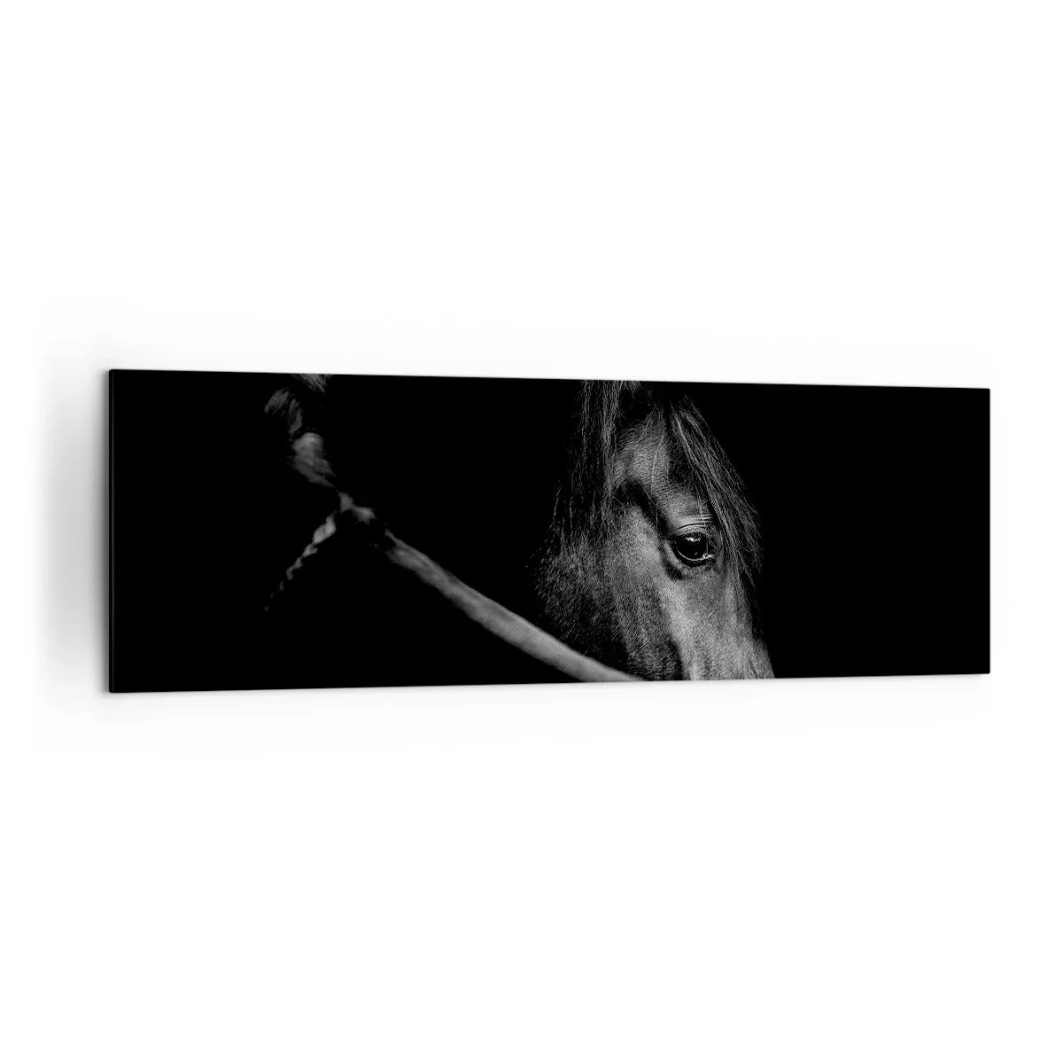 Quadro su tela - Stampe su Tela - Ritratto in bianco e nero di un cavallo con un sottile gioco di luci e ombre su uno sfondo scuro. - 160x50cm - Il principe nero - Decorazione murale moderna per soggiorno e camera da letto ARTTOR