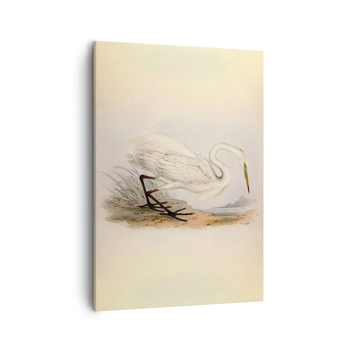 Quadro su tela - Stampe su Tela - Disegno di un airone bianco su uno sfondo di paesaggio naturale - 50x70cm - La signora nel canneto - Decorazione murale moderna per soggiorno e camera da letto ARTTOR