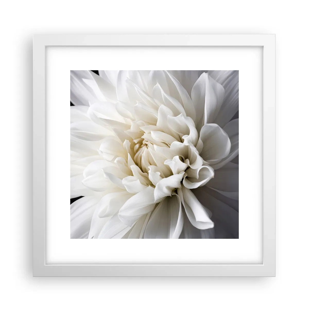 Poster in cornice bianca - Il mattino della sposa - 30x30 cm