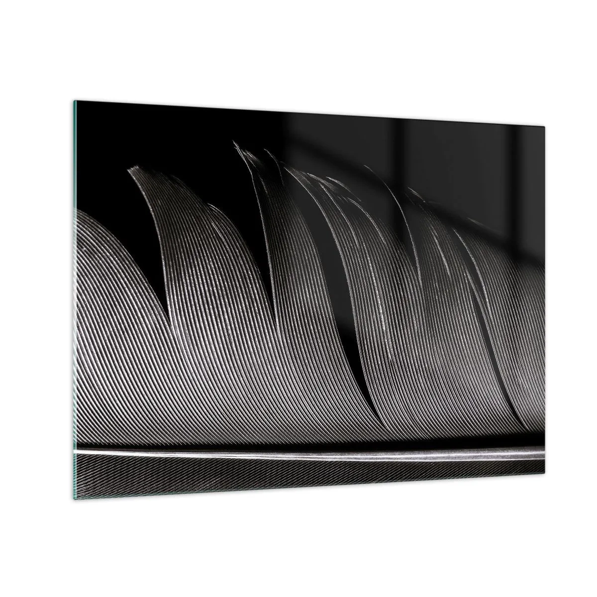Quadro su vetro - Primo piano in bianco e nero di una piuma, ripresa contro una luce contrastante. - 70x50cm - Piuma: struttura meravigliosa - Decorazione murale moderna per soggiorno e camera da letto ARTTOR