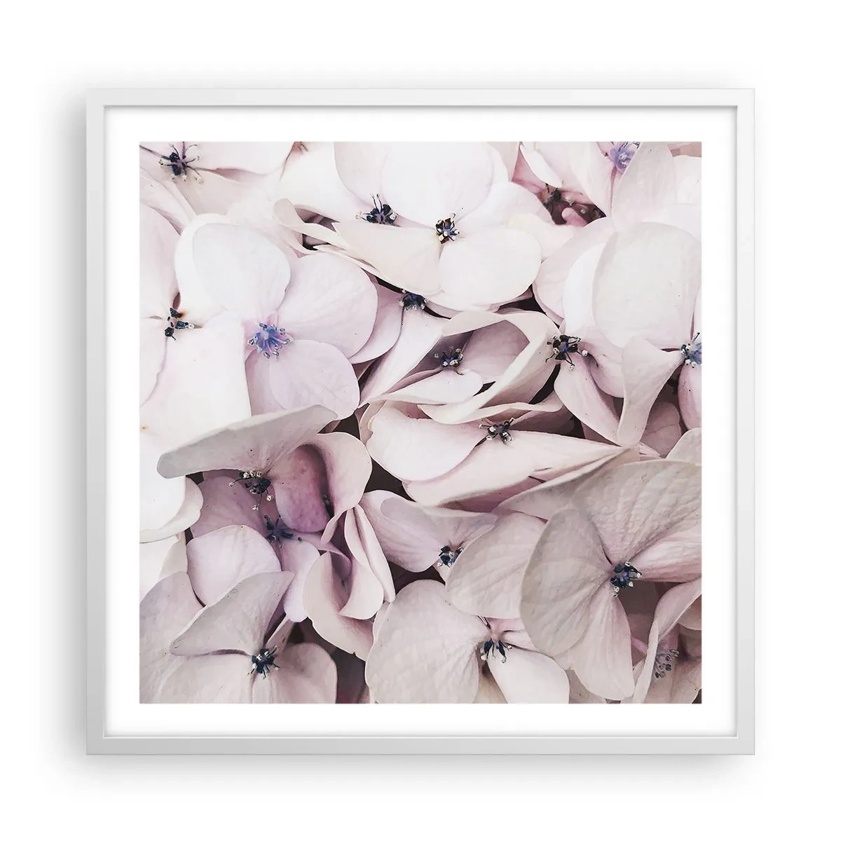 Poster in cornice bianca - Un'alluvione di fiori - 60x60 cm