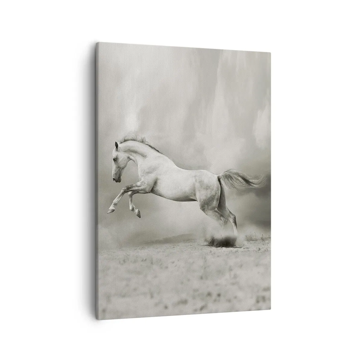 Quadro su tela - Stampe su Tela - Un cavallo bianco in un salto dinamico sullo sfondo di nuvole nebbiose. - 50x70cm - Tra la veglia e il sonno, - Decorazione murale moderna per soggiorno e camera da letto ARTTOR