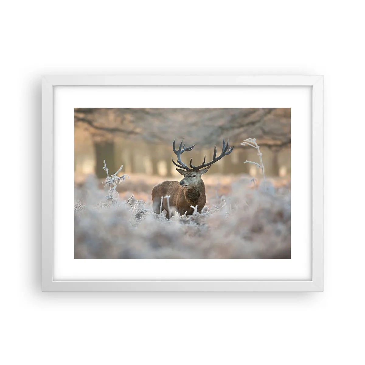 Poster in cornice bianca - Fresco mattino - 40x30 cm