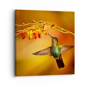 Quadro su tela - Stampe su Tela - Messaggero di luce secondo i Maya - 30x30 cm