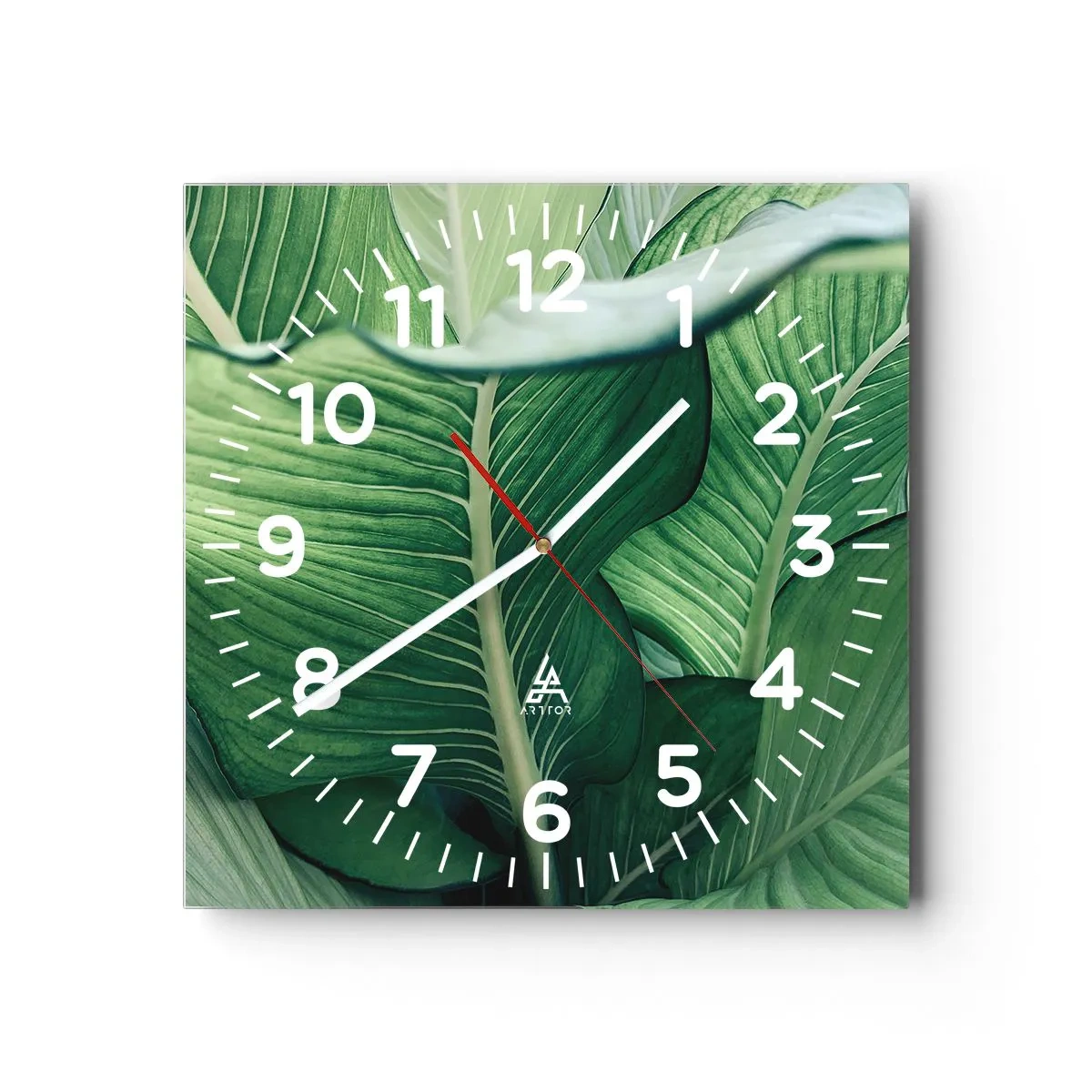 Orologio da parete - Orologio in Vetro - Una vita intensamente verde - 40x40 cm