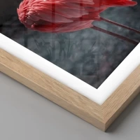 Rovere chiaro