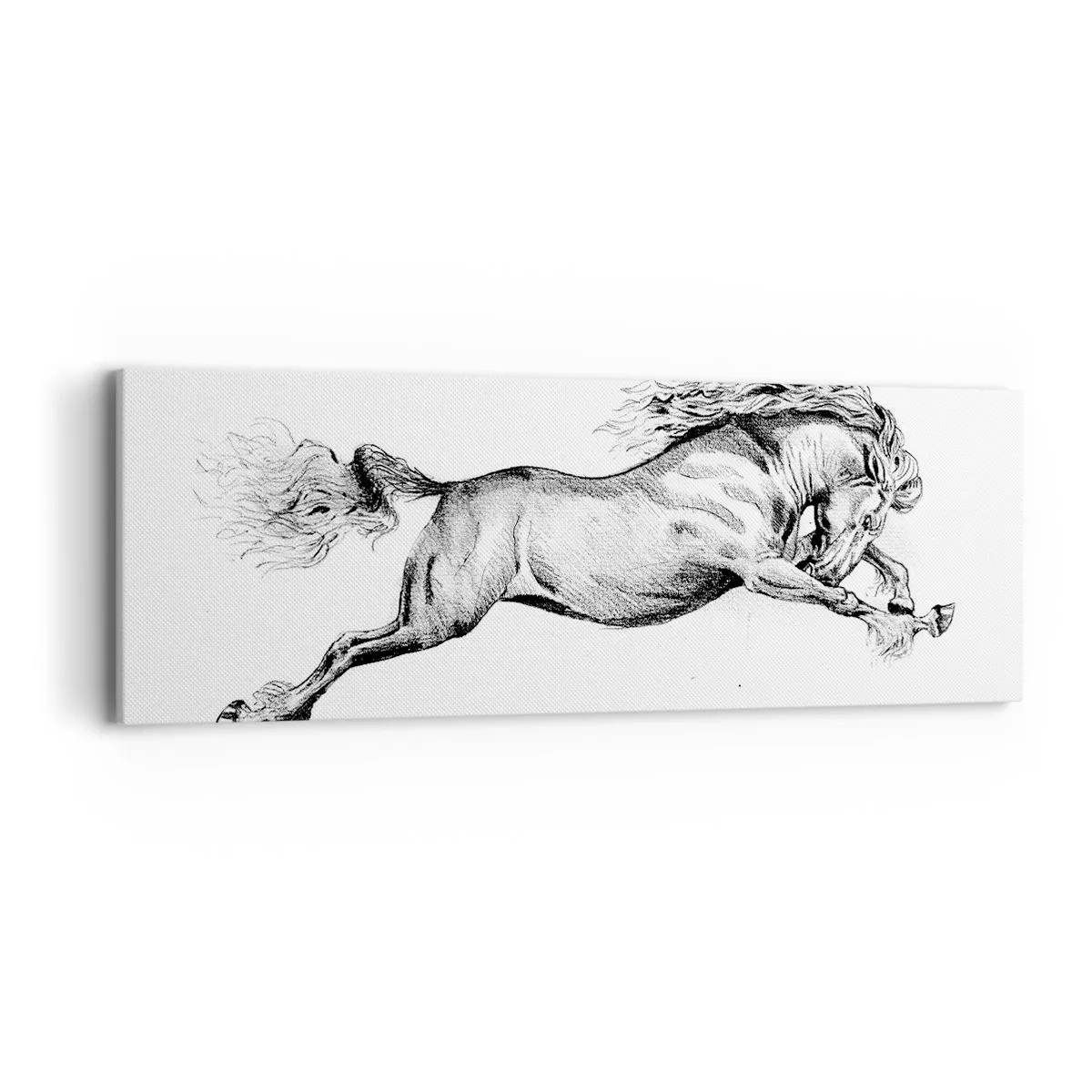 Quadro su tela - Stampe su Tela - Fermo al galoppo - 90x30 cm