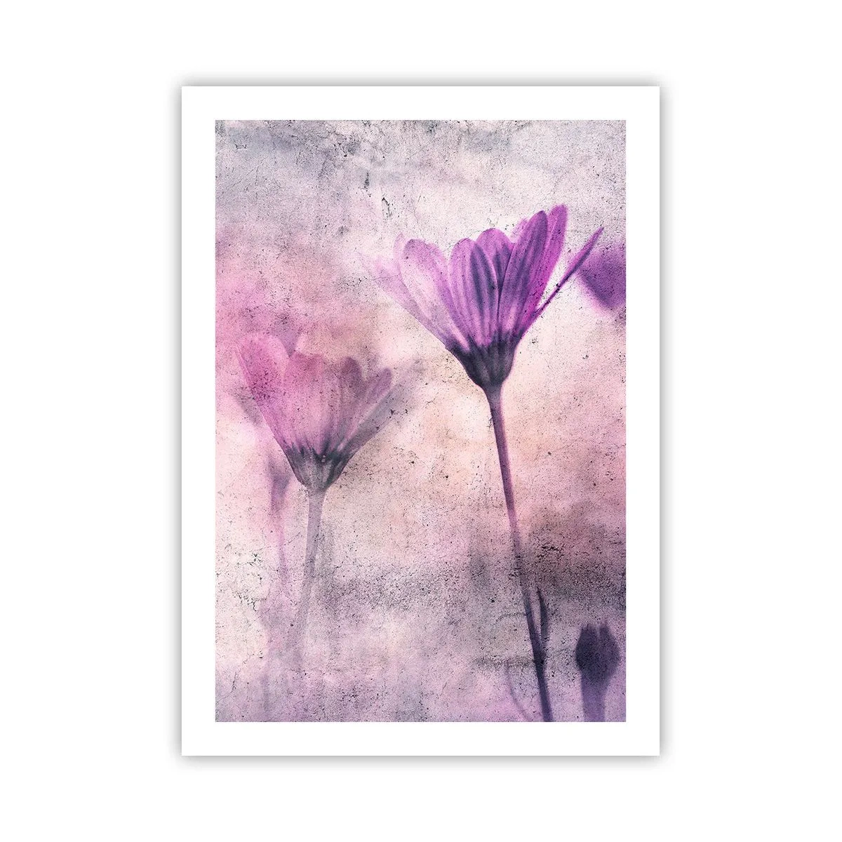 Poster - Delicati fiori nelle tonalità del rosa e del viola su uno sfondo chiaro - 50x70cm - Il sogno dei fiori - Decorazione murale moderna per soggiorno e camera da letto ARTTOR