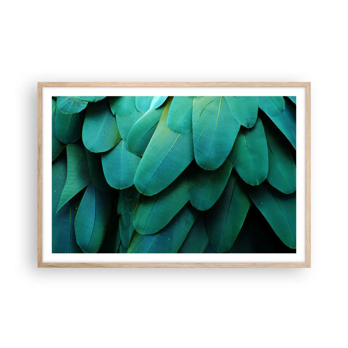 Poster in cornice rovere chiaro - Precisione da pappagallo - 91x61 cm