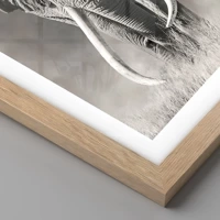 Rovere chiaro