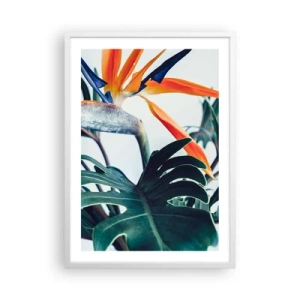 Poster in cornice bianca - Pianta uccello - 50x70 cm