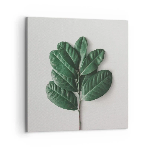 Quadro su tela - Stampe su Tela - Il disegno della natura stessa - 50x50 cm