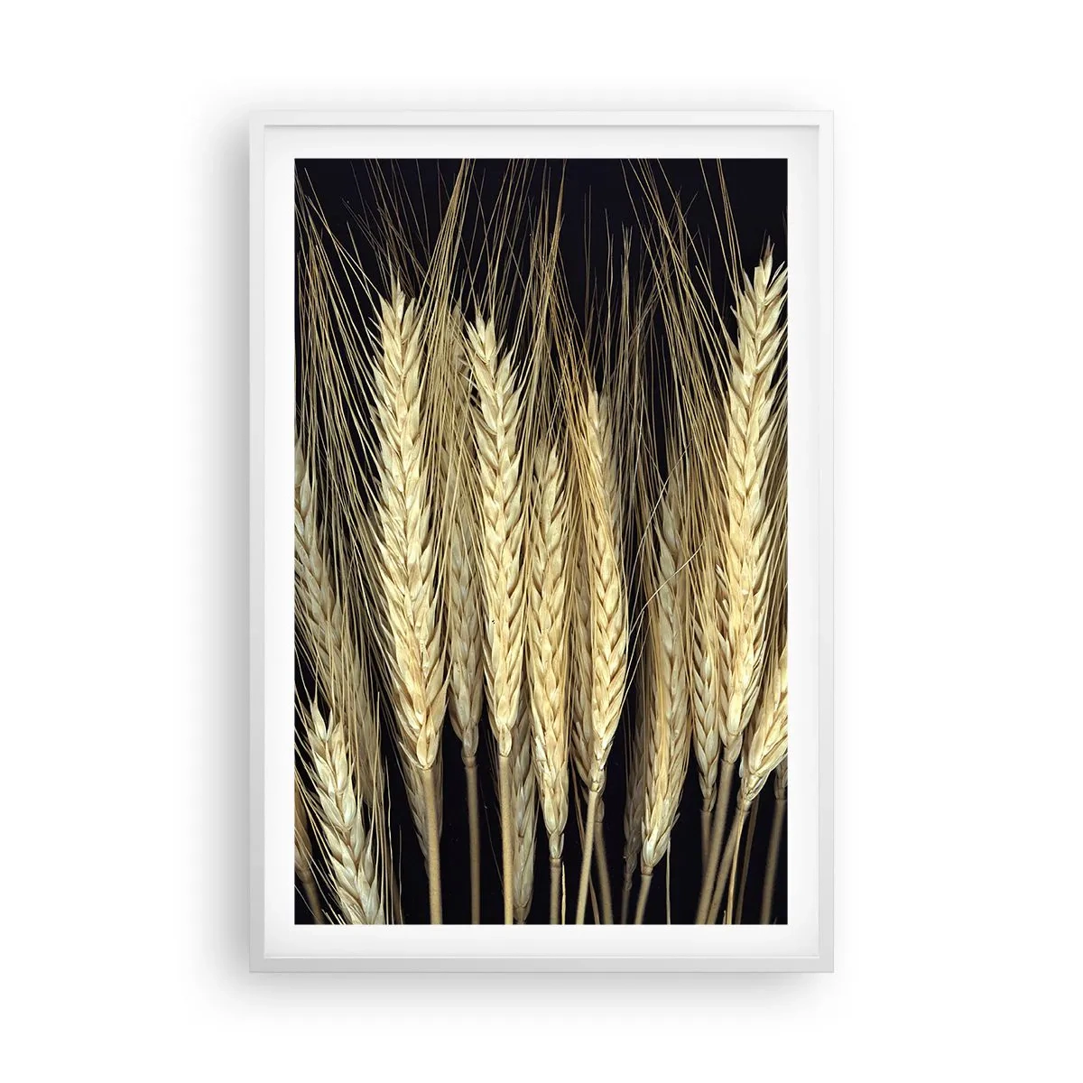 Poster in cornice bianca - Magia rustica - 61x91 cm