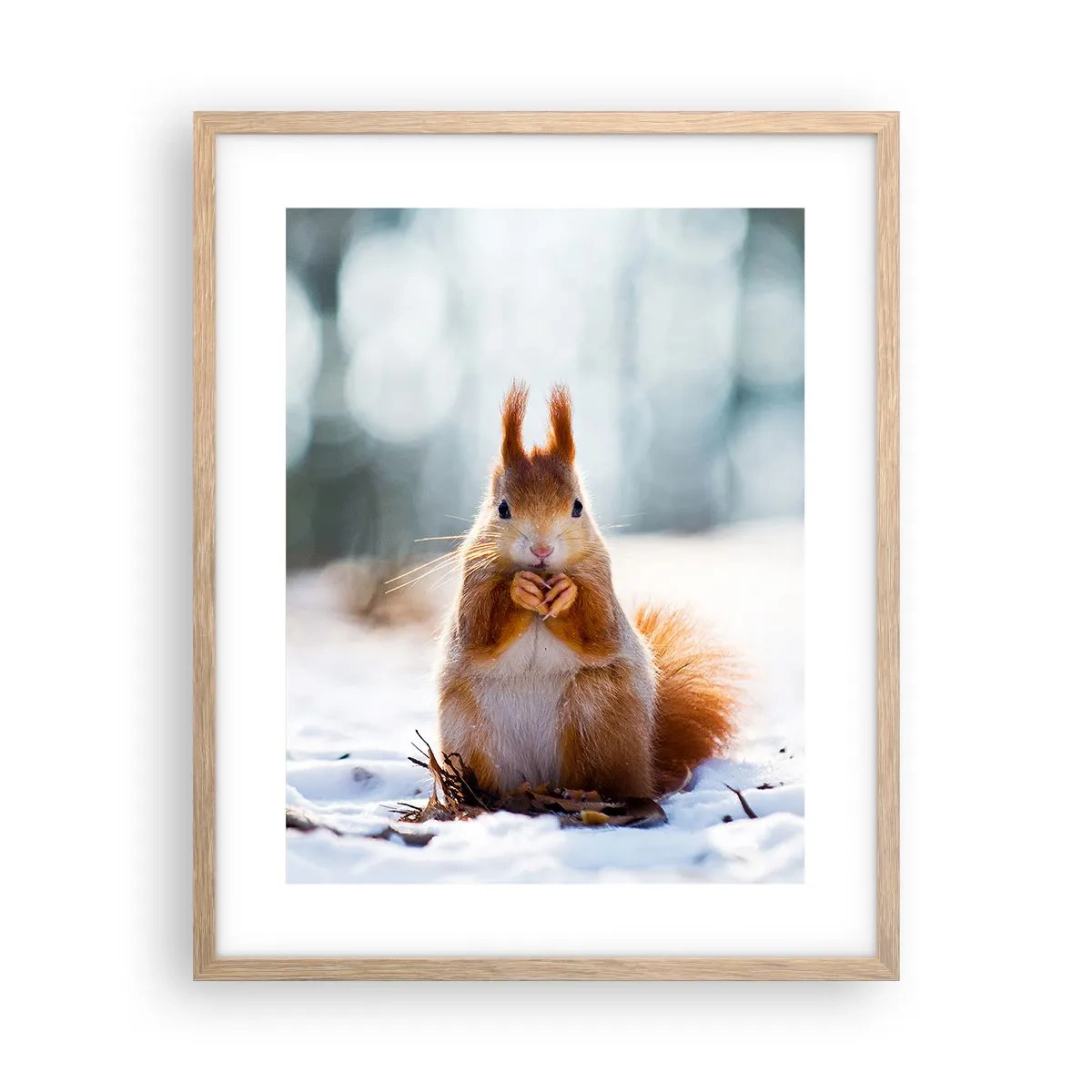 Poster in cornice rovere chiaro - Che cosa guardi? - 40x50 cm