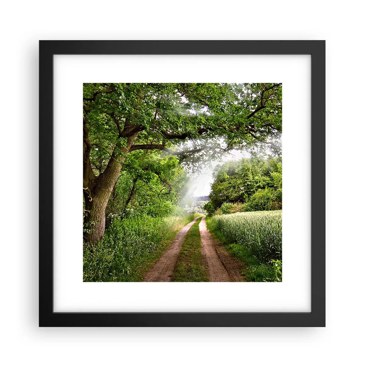 Poster in cornice nera - Et in Arcadia ego - 30x30 cm