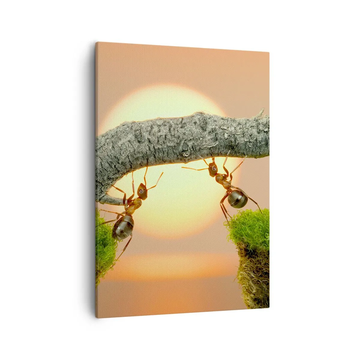 Quadro su tela - Stampe su Tela - Formiche che costruiscono un ponte di rami sullo sfondo del sole al tramonto. - 50x70cm - Gioioso lavoro comune - Decorazione murale moderna per soggiorno e camera da letto ARTTOR