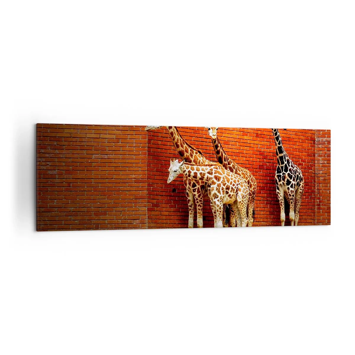 Quadro su tela - Stampe su Tela - Quattro giraffe contro un muro di mattoni in un ambiente artistico - 160x50cm - Vedete qualche acacia? - Decorazione murale moderna per soggiorno e camera da letto ARTTOR