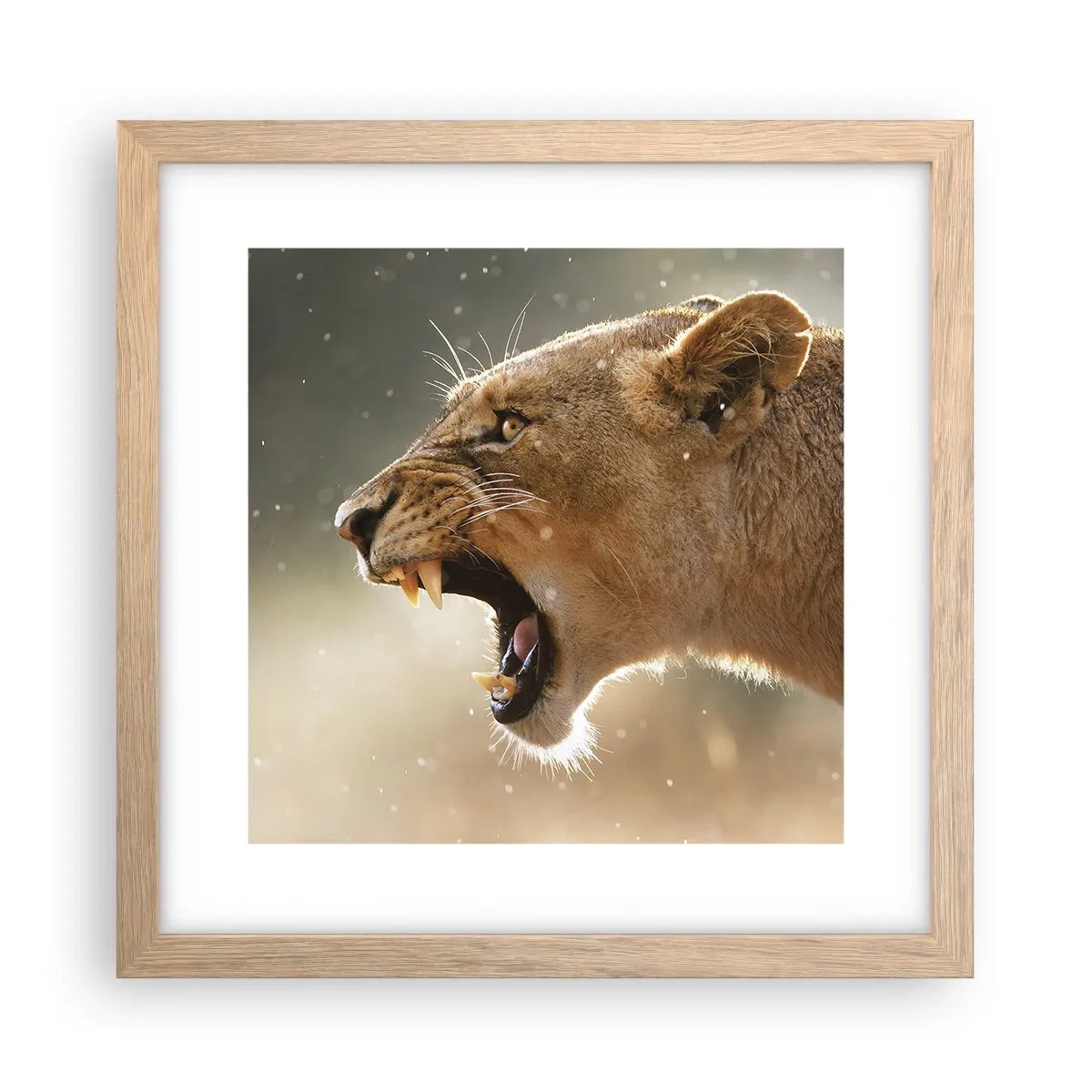 Poster in cornice rovere chiaro - Prova a non ascoltare - 30x30 cm