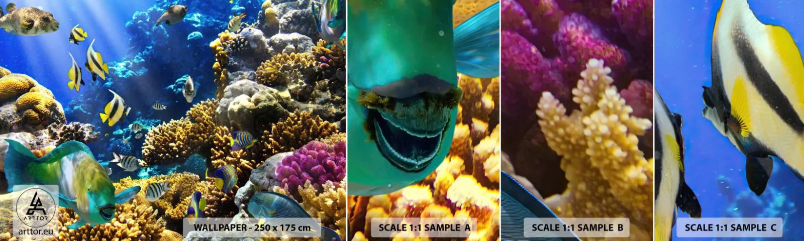 Campione Di Fotomurale Standard Eco - Traffico intenso sulla via delle vacanze - barriera corallina, Oceano, Pescare - 100x30 cm