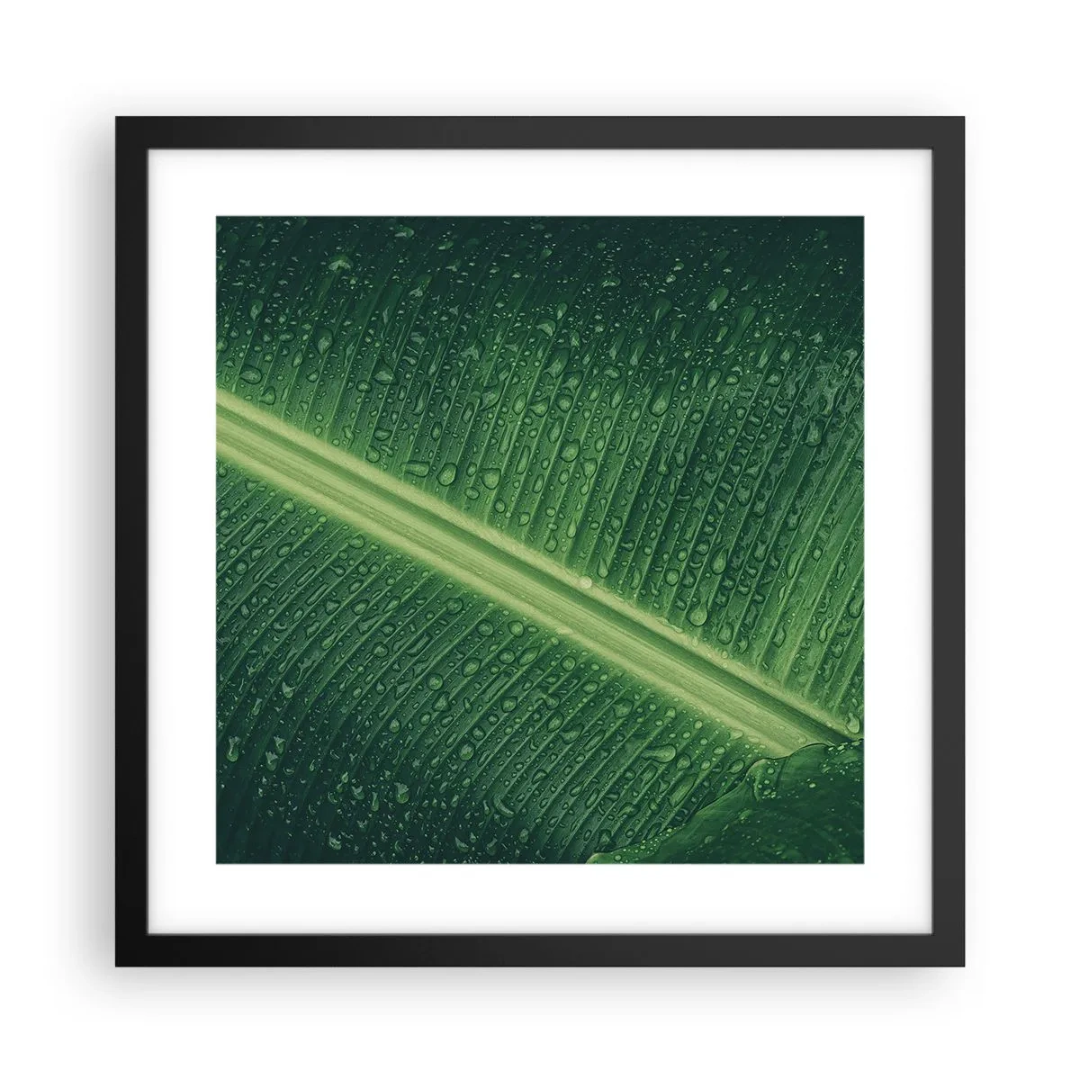 Poster in cornice nera - La struttura del verde - 40x40 cm