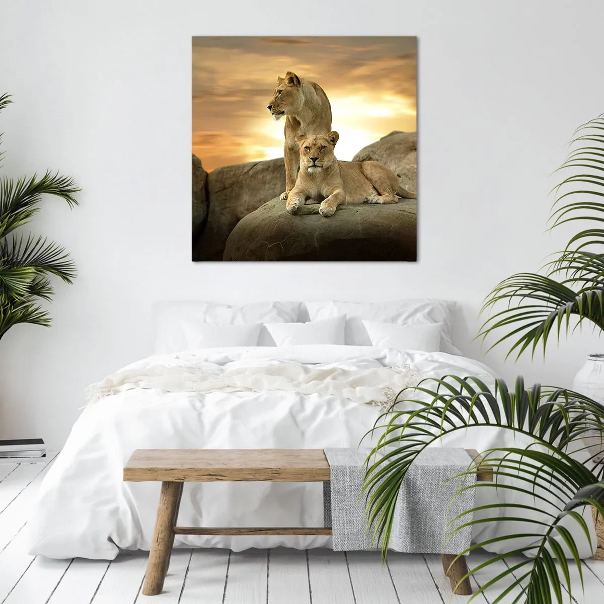 Quadro su tela - Stampe su Tela - Maestà reale - 70x70 cm