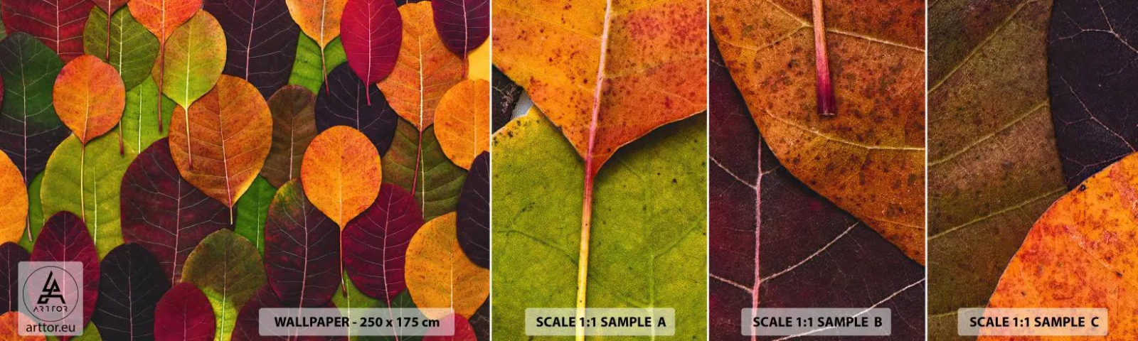 Campione Di Fotomurale Standard Eco - Mosaico autunnale - Grafica, Foglie colorate, Pezzo - 100x30 cm
