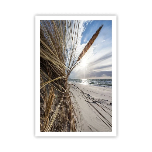 Poster - L'incontro degli elementi - 61x91 cm