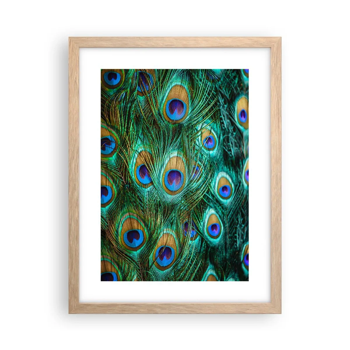 Poster in cornice rovere chiaro - Lo sguardo del pavone - 30x40 cm