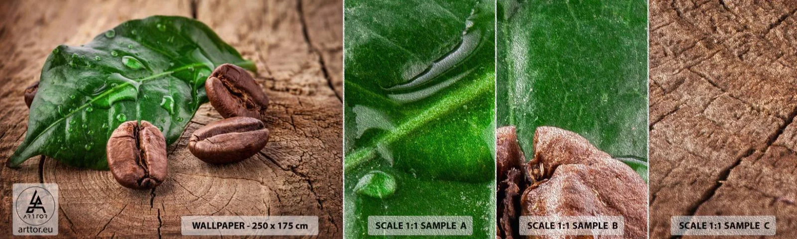 Campione di Fotomurale Premium Sand - Nero e autentico - Gastronomia, Caffè, Chicco di caffe - 100x30 cm