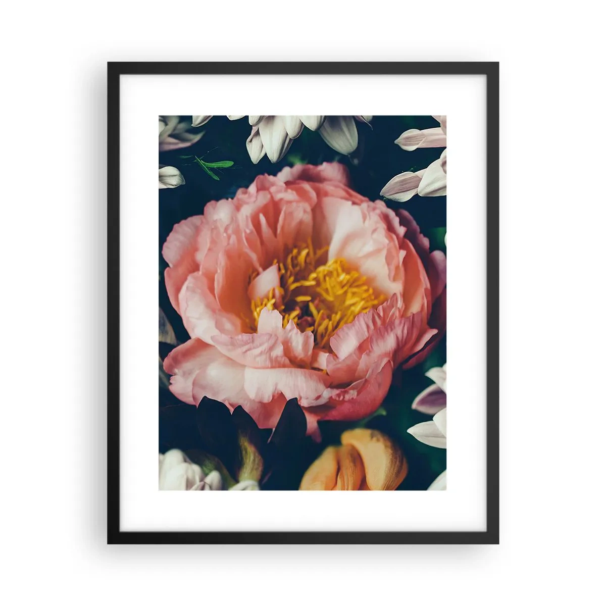 Poster in cornice nera - Con fasto barocco - 40x50 cm