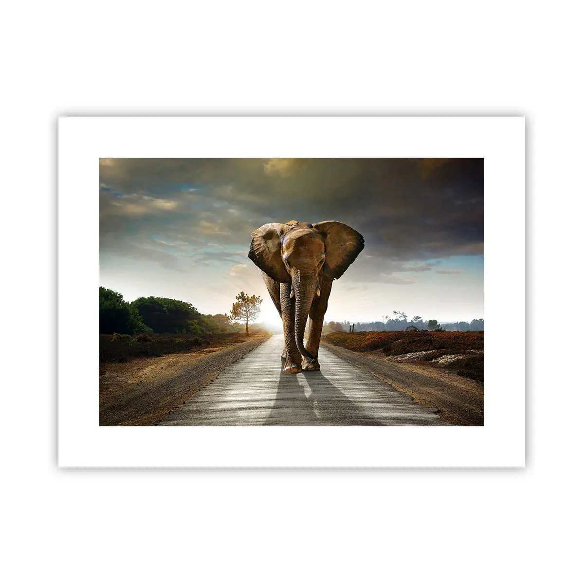 Poster - E non nel negozio di cristalli - 40x30 cm