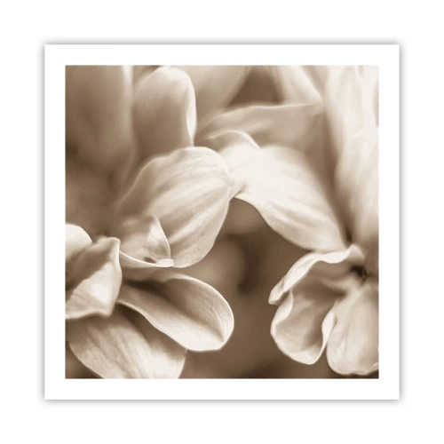 Poster - Mite come un sorriso - 60x60 cm