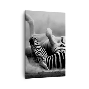 Quadro su tela - Stampe su Tela - Una zebra bianca e nera che rotola nella sabbia - 80x120cm - Morire dal ridere - Decorazione murale moderna per soggiorno e camera da letto ARTTOR