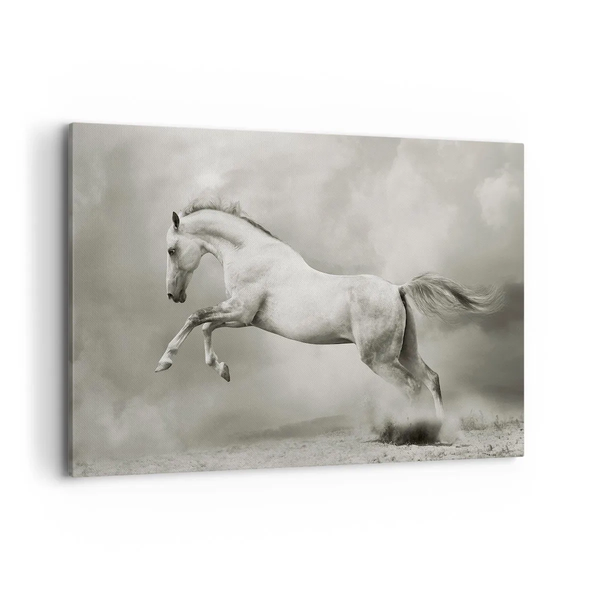 Quadro su tela - Stampe su Tela - Un cavallo bianco in un salto dinamico sullo sfondo di nuvole nebbiose. - 120x80cm - Tra la veglia e il sonno, - Decorazione murale moderna per soggiorno e camera da letto ARTTOR