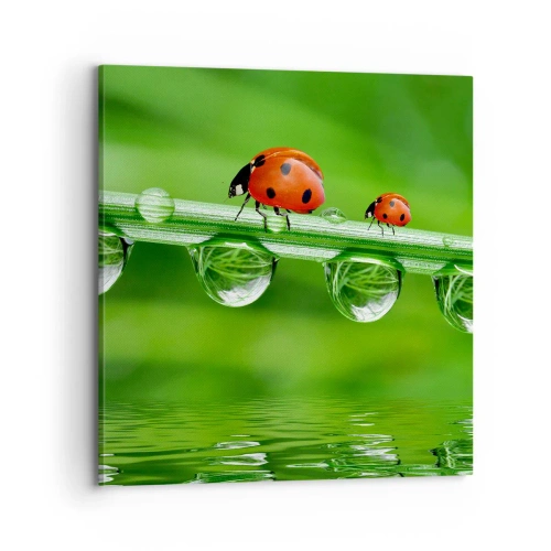 Quadro su tela - Stampe su Tela - In cammino per tutta l'estate - 70x70 cm