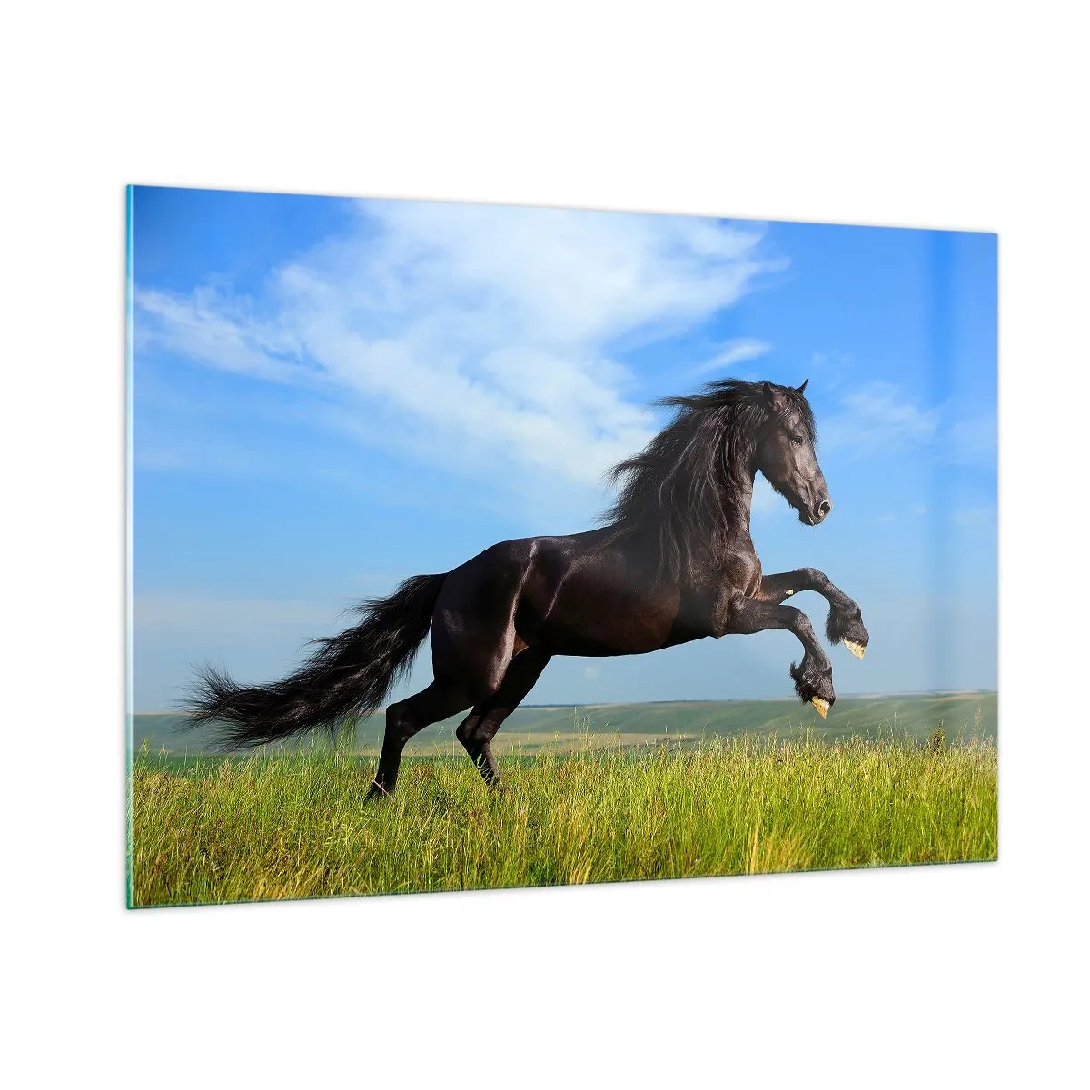 Quadro su vetro - Un cavallo nero al galoppo contro un cielo azzurro e un prato verde. - 100x70cm - Coinvolgente manifesto di libertà - Decorazione murale moderna per soggiorno e camera da letto ARTTOR