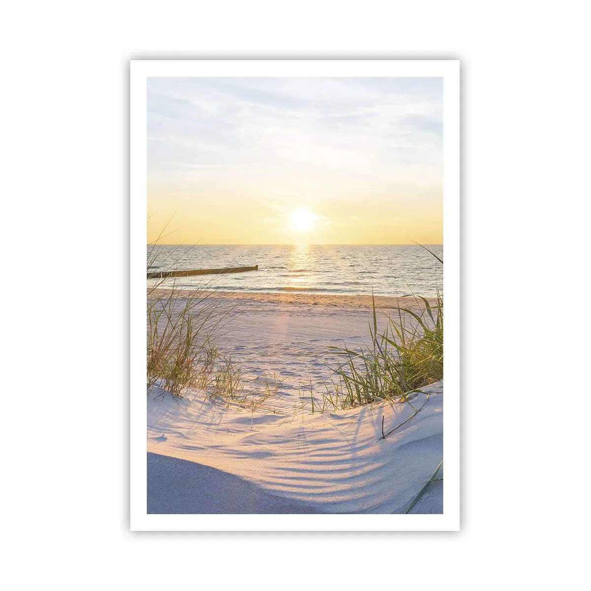 Poster - Rumore del mare, uccelli che cantano, spiaggia selvatica tra i cespugli... - 70x100 cm