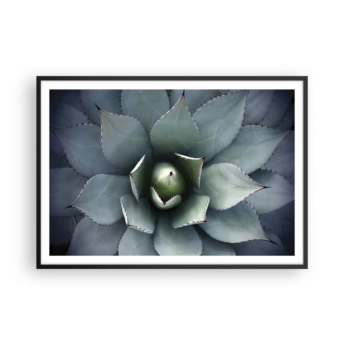 Poster in cornice nera - Primo piano di una rosetta di agave in delicate tonalità di verde - 100x70cm - Adesca e minaccia - Decorazione murale moderna per soggiorno e camera da letto ARTTOR