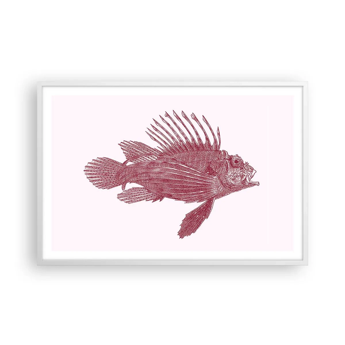 Poster in cornice bianca - Abitante di mari esotici - 91x61 cm