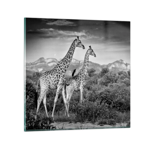 Quadro su vetro - Alta classe in Africa - 50x50 cm